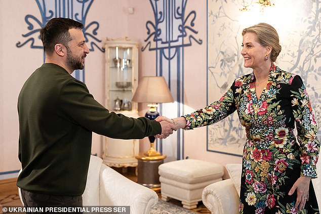 Sophie is said to have delivered a letter from King Charles III to President Volodymyr Zelensky.  The Ukrainian president greets Sophie ahead of their talks in Kiev on April 29, 2024