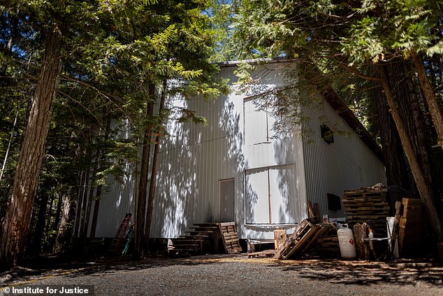 They were hit with massive fines increasing by $12,000 per day because their shed (pictured above) was used by the previous owner to illegally grow weed