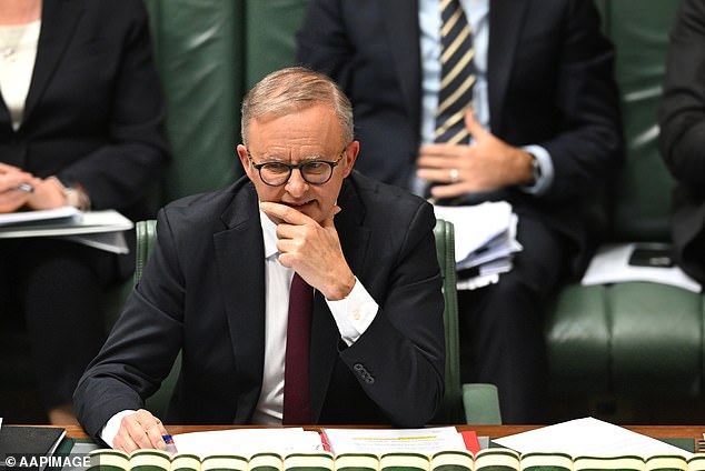 Opposition Home Affairs spokesman James Paterson and commentator Joe Hildebrand both urged Mr Albanese to take decisive action against Mr Giles this week.