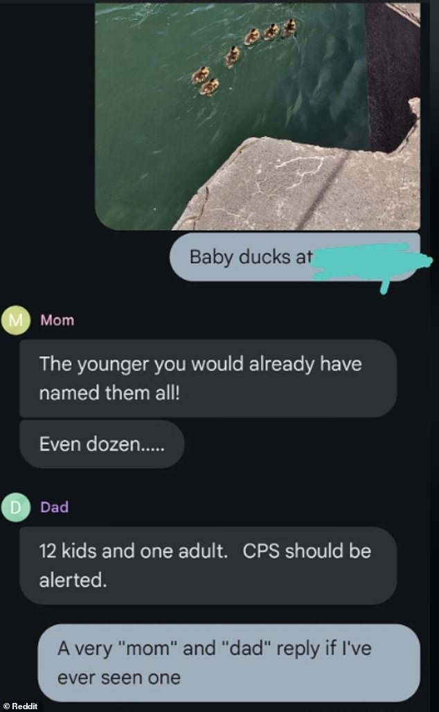 Funny!  A woman in the US received very different reactions from her parents when she sent them a photo of baby ducks