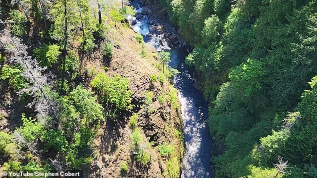 Five to seven people fall from the bridge every year, and the majority die, officials said