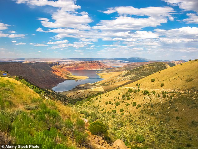 Wyoming has the lowest population of natives, according to analysts, with only 45.2 percent remaining in the state.  Pictured: Flaming Gorge Reservoir, the largest reservoir in Wyoming