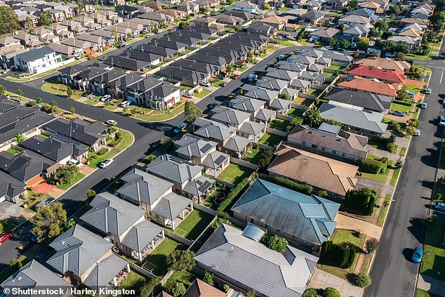 First home buyers continue to struggle to purchase property in both capital cities and regional areas across Australia (pictured, houses in suburban Sydney)