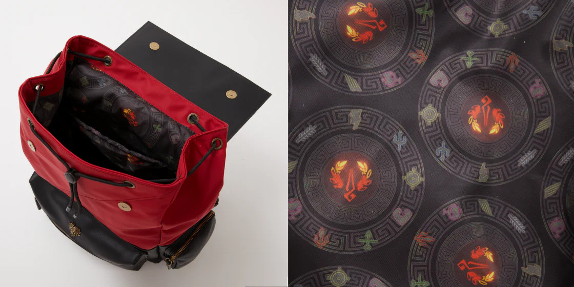 A detailed look at the interior of SuperGroupies' Hades backpack