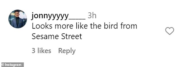 Reactions to the costume on the thread were mostly negative, with several users saying it looked more like the cool Big Bird from Sesame Street than Simba