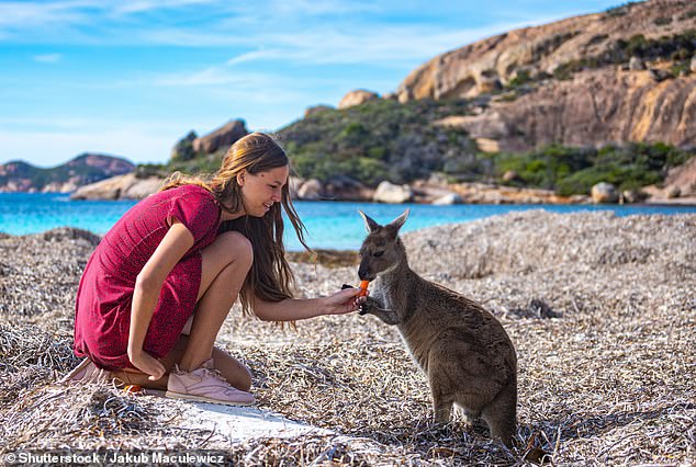 Many offered advice for exploring regional Australia and how to be respectful of the flora and fauna: 'Don't feed the wildlife.  It's bad for them