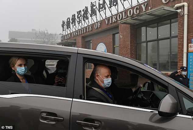 Peter Daszak, right, Thea Fischer, left, and other members of the World Health Organization team investigating the origins of COVID-19 arrive at the Wuhan Institute of Virology