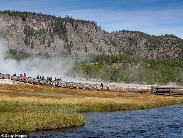 The Biscuit Basin Trial is a 0.9 km loop that wraps around hydrothermal features such as Sapphire Pool, Avoca Spring and Jewel Geyser, which erupt every 7 to 10 minutes.