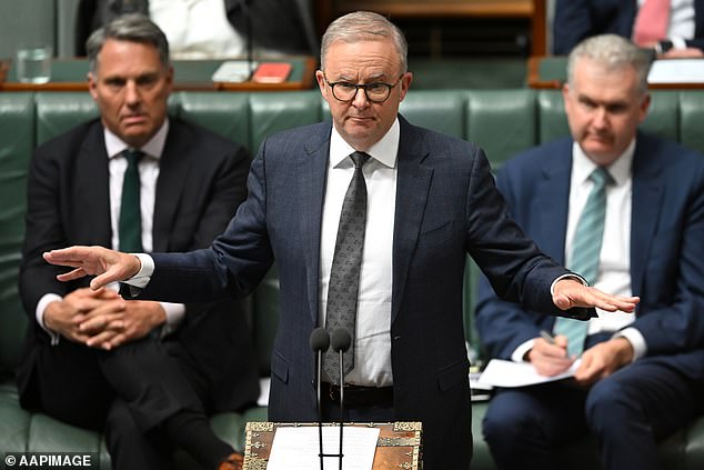 Anthony Albanese supported his controversial minister on Wednesday