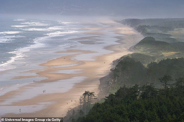 Cape Lookout, pictured, was previously the northernmost point of the PSP beach closure, but when mussel fishermen north of this point became sick, state officials extended the closure into Washington state.