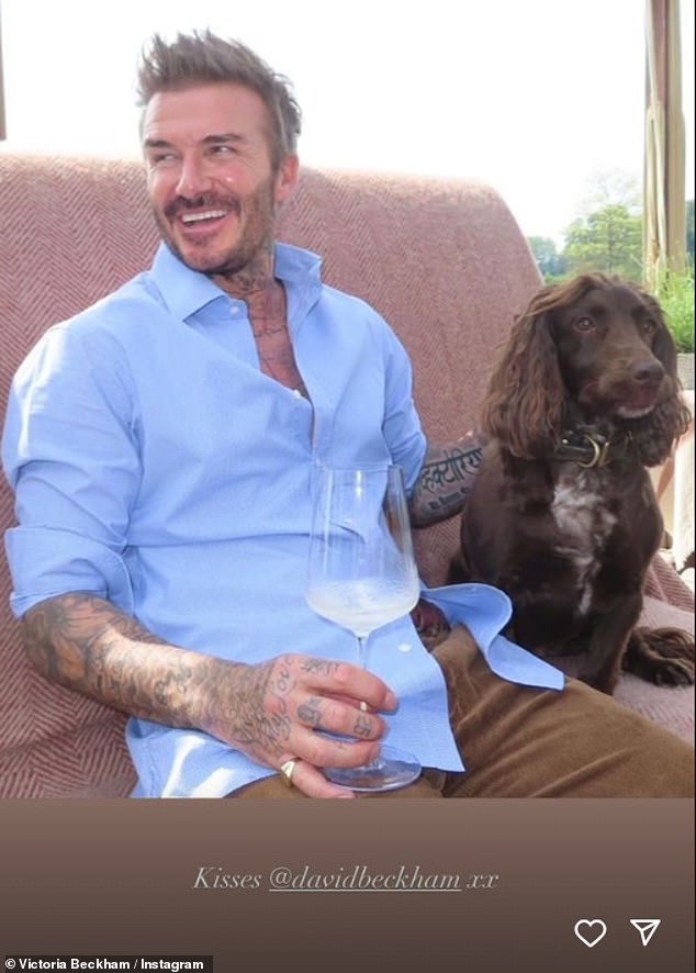 David looked dapper as he posed for a photo in a blue shirt and brown pants with their family dog