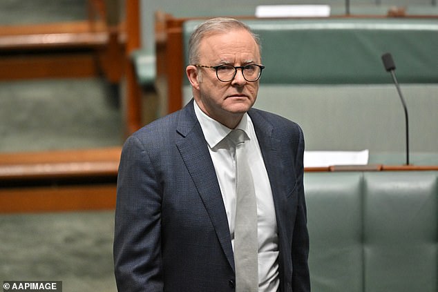 One Nation leader Pauline Hanson was the latest to join the pile-on against Mr Giles and Prime Minister Anthony Albanese, labeling them a 'couple of bozos'