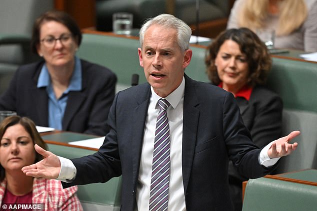 Ms Hanson called on the Prime Minister to sack Andrew Giles (pictured) from the federal cabinet