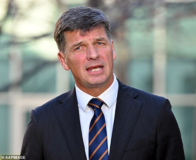 Shadow Treasurer Angus Taylor (pictured) criticized the federal government for increasing spending as Australians face 'one of the highest and most persistent inflation rates of any advanced economy'