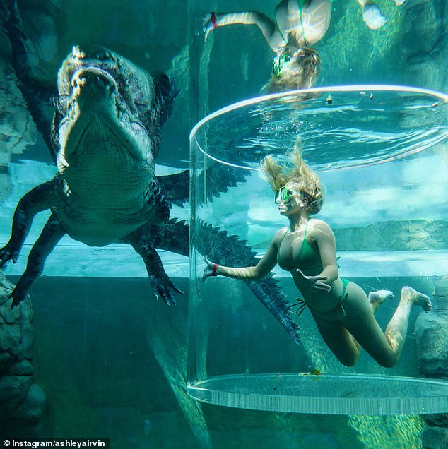 Ashley, who appeared on the Nine dating show in 2018, documented her journey on Instagram and shared footage of herself coming face to face with a crocodile behind protective glass