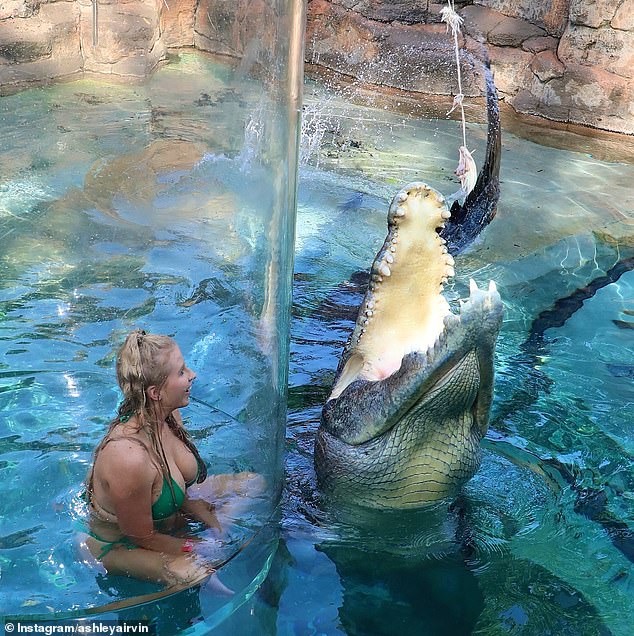 1717031371 933 Wild moment giant crocodile snaps at busty bikini clad MAFS star