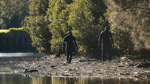 Police divers are seen searching the mangroves at the water's edge