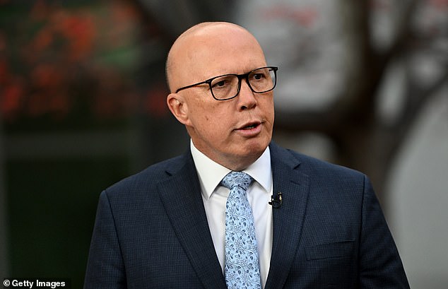 Tingle accused Mr Dutton (pictured) of inciting violence against migrants during a panel at the Sydney Writers' Festival on Sunday