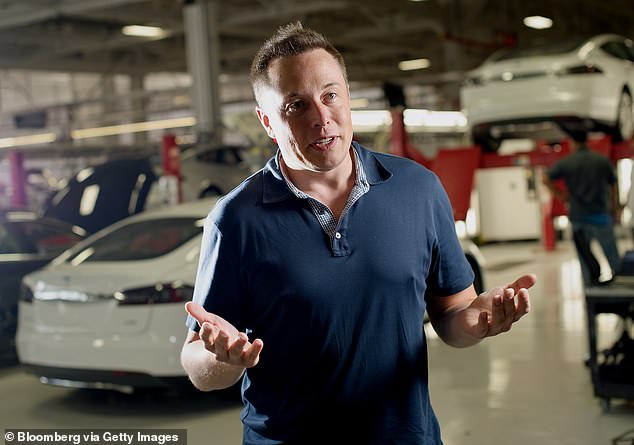 A leading automotive expert has suggested that the perpetrators are largely driven by jealousy, a sense of threat and an irrational hatred of Tesla's billionaire owner Elon Musk.