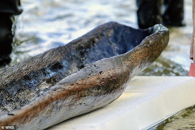 While the Ho-Chunk tribe once lived in the area around Lake Mendota, the Paleoindian people were the first inhabitants to arrive about 12,000 years ago.  The boats may have belonged to ancient civilization