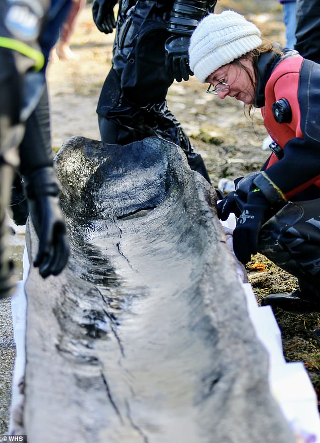 The recovery team used flotation bags to lift the boats from the lake bottom and float them underwater toward the beach until they reached shore