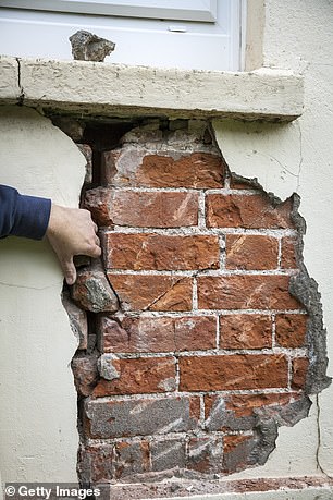 A surveyor will draw your attention to any defects that may need to be repaired after you have moved.