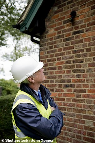 A good surveyor should spot problems outside the property, as well as within its walls