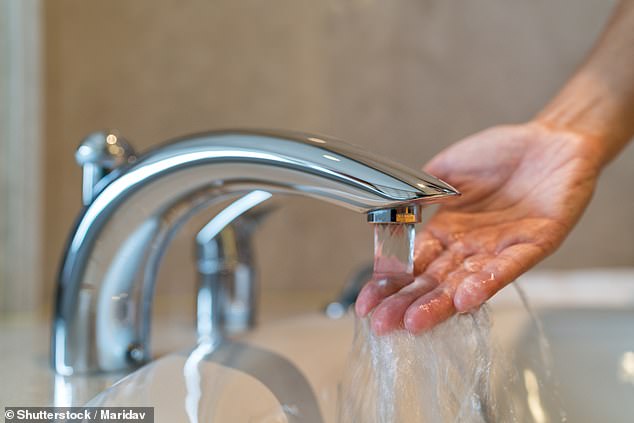 To reveal the states with the worst drinking water, DailyMail.com pulled data from the EPA dashboard on water safety violations (Stock Image)