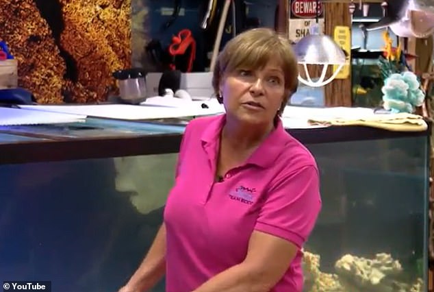 Brenda Ramer started Team ECCO Ocean Center and Aquarium, also known as The Aquarium & Shark Lab, in 2009.  Before the big move, Ramer was a teacher for Henderson County for almost 10 years.