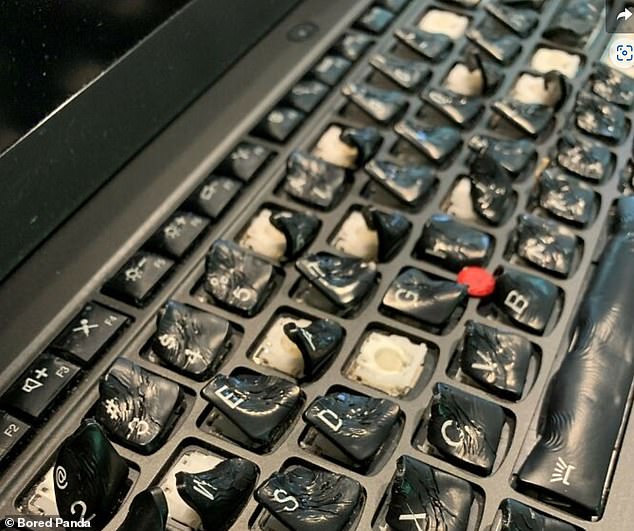 This well-meaning person accidentally dropped coffee on his keyboard and then put it in the oven to 