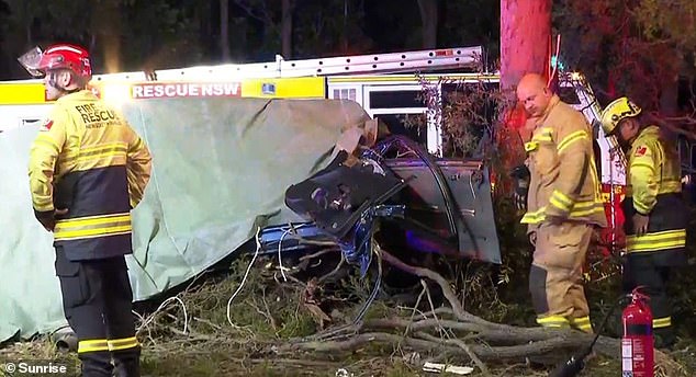 The teenage girl died and four others were taken to hospital with serious injuries after the car crashed into a tree overnight (photo, fire brigade on scene)