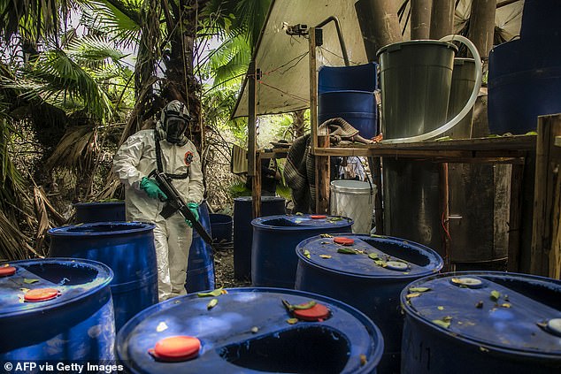 Mexican officials are pictured dismantling a clandestine drug laboratory in Sinaloa, Mexico in June 2019