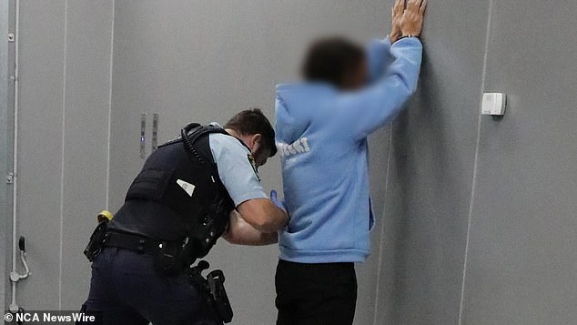 Lewis was one of three A-League players arrested for his alleged role in gambling corruption