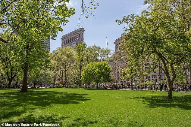 Siaca said she was approached by two teenage boys in the middle of the park while she was listening to a podcast alone