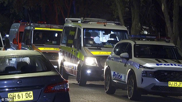 A man died after a confrontation at an apartment in Auburn, Sydney's west, on Wednesday evening (photo ambulance and police vehicles outside the apartment complex)