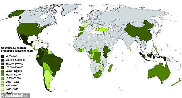 The largest avocado growing countries in the world are Peru, Spain, Chile and Colombia.  The photo shows countries ranked by their avocado production, with dark green being the most productive