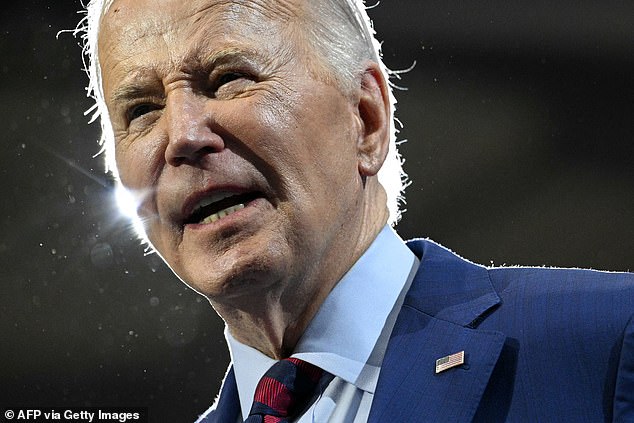 Biden unveils plan to give 100000 illegal immigrants access to