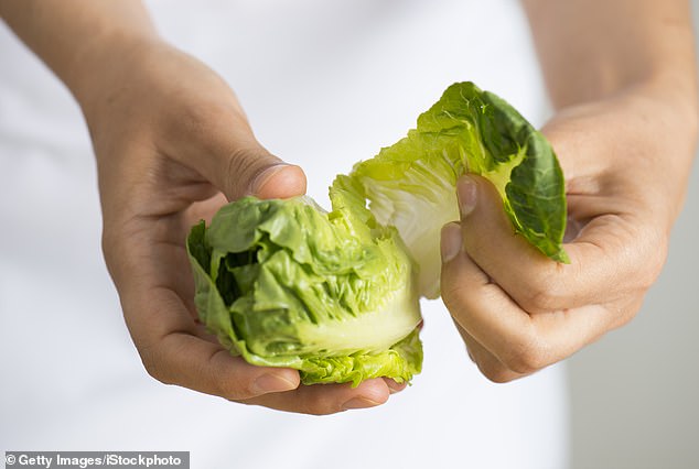 A chef cuts the stem of the lettuce, soaks a paper towel in alcohol, then attaches it to the lettuce and stores it in an airtight bag in the refrigerator