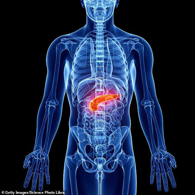 The pancreas is an organ that produces insulin, among other things.  Insulin is a natural hormone that our body uses to control the amount of sugar in our bloodstream.  People with diabetes have difficulty regulating their blood sugar levels due to pancreatic dysfunction.