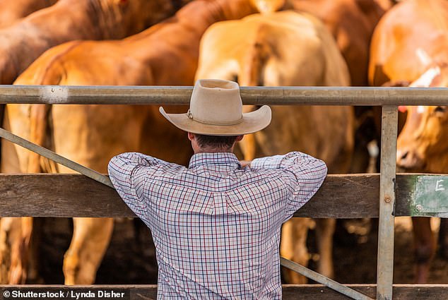 Andrew Dunlop has raised questions after discovering that Australian beef in Japan is being sold in Japanese supermarkets for a fraction of the price it is sold for at Coles and Woolworths