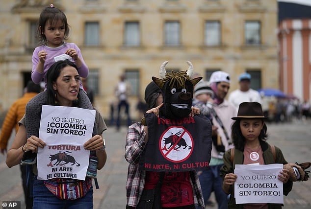 Demonstrators held a protest against bullfighting in Bogotá, Colombia on May 7.  The sign on the left says in Spanish "I want Colombia without bullfighting!  Torture, neither art nor culture'