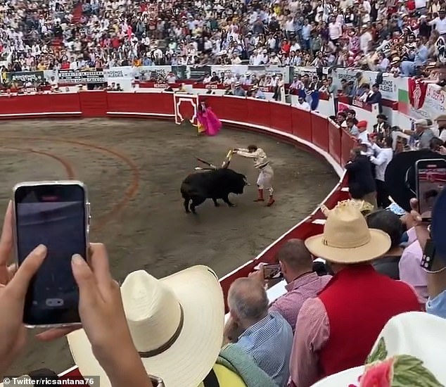 A bull attacks a matador during a bullfighting event in Manizales, Colombia in November 2023. A bill to ban the ancient tradition was passed on Tuesday, with 93 members in the House of Representatives voting in favor and two against