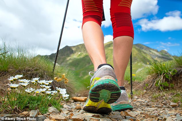 Nordic walking uses many more muscle groups than regular walking, so it's good for you