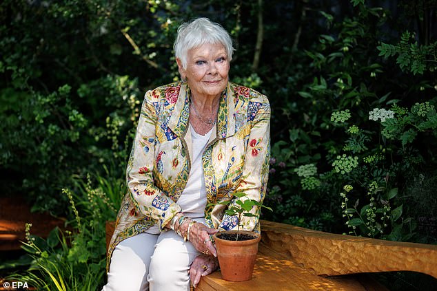 Dame Judi Dench has cast doubt on the future of her film career as she continues to cope with her poor eyesight