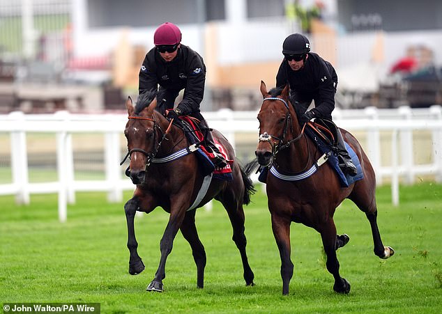 Dancing Gemini (left) will take part in the Betfred Derby after an impressive gallop at Epsom