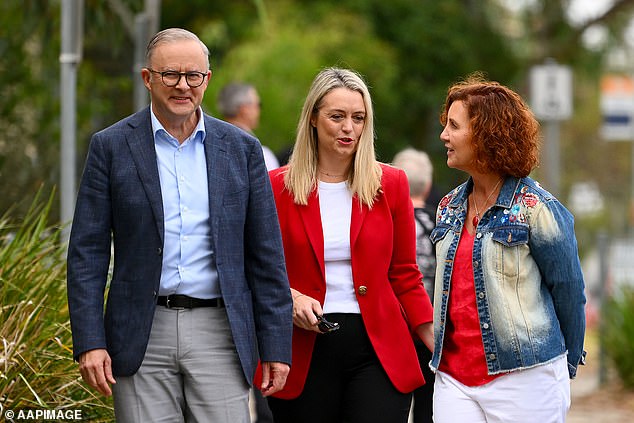 Mr Smith has called on Prime Minister Anthony Albanese (pictured) to reconsider his opposition to nuclear power