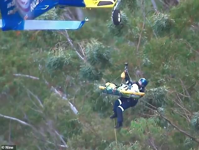 A bushwalker has been rescued in a dramatic helicopter rescue after falling about 10 meters from a path on Queensland's Scenic Rim