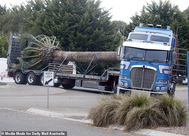 A truck driving into a large palm tree on The Block struggles to get around a roundabout on Friday