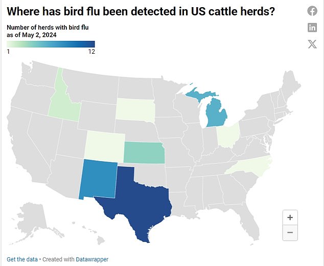 The map above shows states where bird flu infections in cattle have been reported