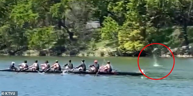 The group of nine 15- and 16-year-olds were participating in a regatta on the Sacramento River when they heard gunfire